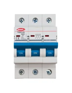 Interruptor Magnetotérmico 3P | Protección Trifásica 6kA