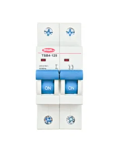 Interruptor Magnetotérmico TSB4-125 2P 125A | Tosun