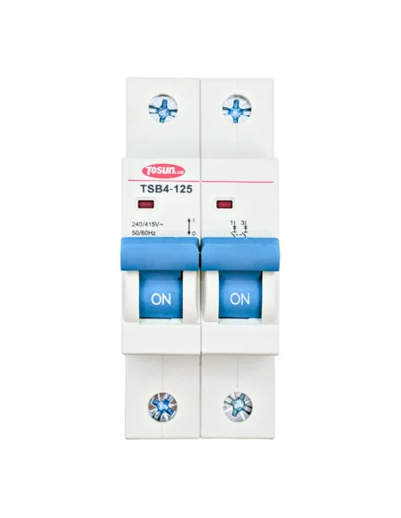 Interruptor Magnetotérmico TSB4-125 80-125A Bipolar 2P 6KA