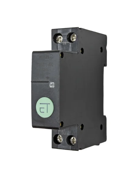 Interruptor Disyuntor Inteligente WiFi 1P 50A