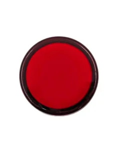 Indicador LED Rojo 22mm Alta Visibilidad | Señalización Eficiente 2